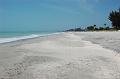 491. captiva